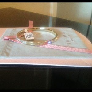 Gold Clem Narrow White Crystal Bangle (Ted Baker)